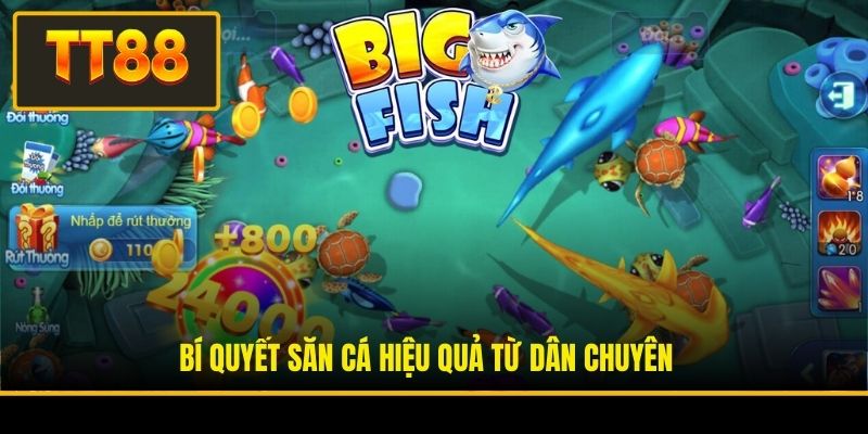 Game Bắn Cá Vui - Trò Chơi Giải Trí Săn Thưởng Đỉnh Cao 4 Bí quyết săn cá hiệu quả từ dân chuyên