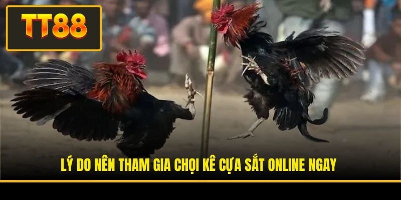 Đá Gà Cựa Sắt - Đỉnh Cao Giải Trí Và Cơ Hội Làm Giàu Nhanh 3 Lý do nên tham gia chọi kê cựa sắt online ngay